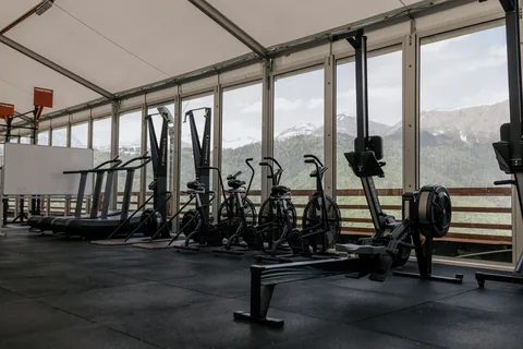 Rowing machines lined up beside tall gym windows.
